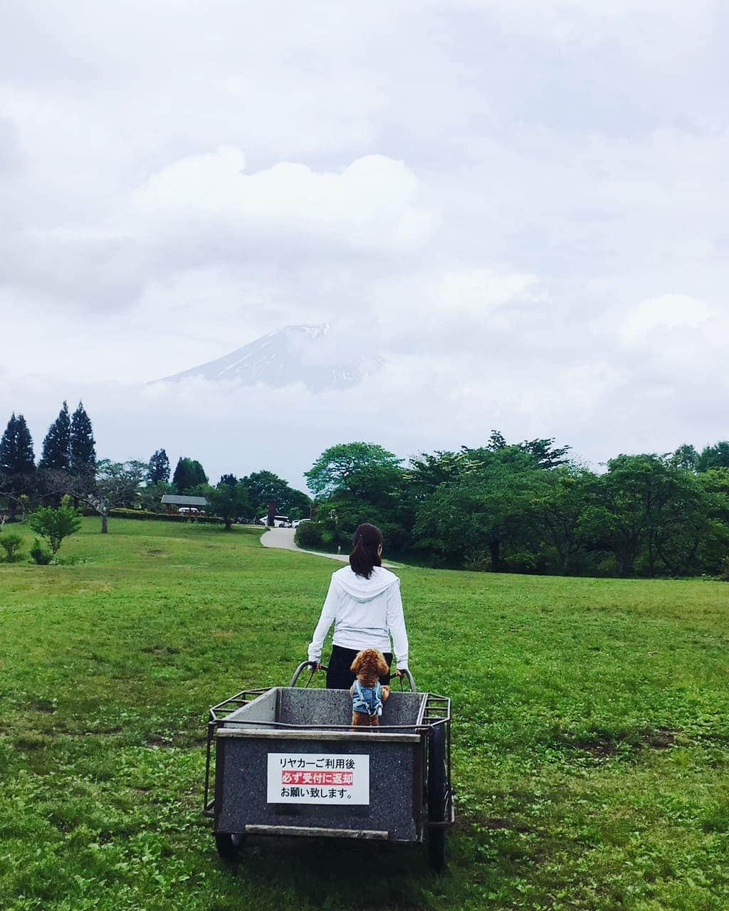 巴山萌菜さんのインスタグラム写真 - (巴山萌菜Instagram)「くるくんも一緒に行った🐶  #田貫湖 #富士山 #日の出 #絶景 #朝 #朝5 #静岡県 #静岡 #キャンプ #初キャンプ #最高 #非日常 #非日常空間 #自然 #山 #川 #湖 #お日様 #太陽 #ゆるキャン #ゆるキャン聖地 #リフレッシュ #キャンプ犬」5月24日 23時26分 - mona_tomoyama