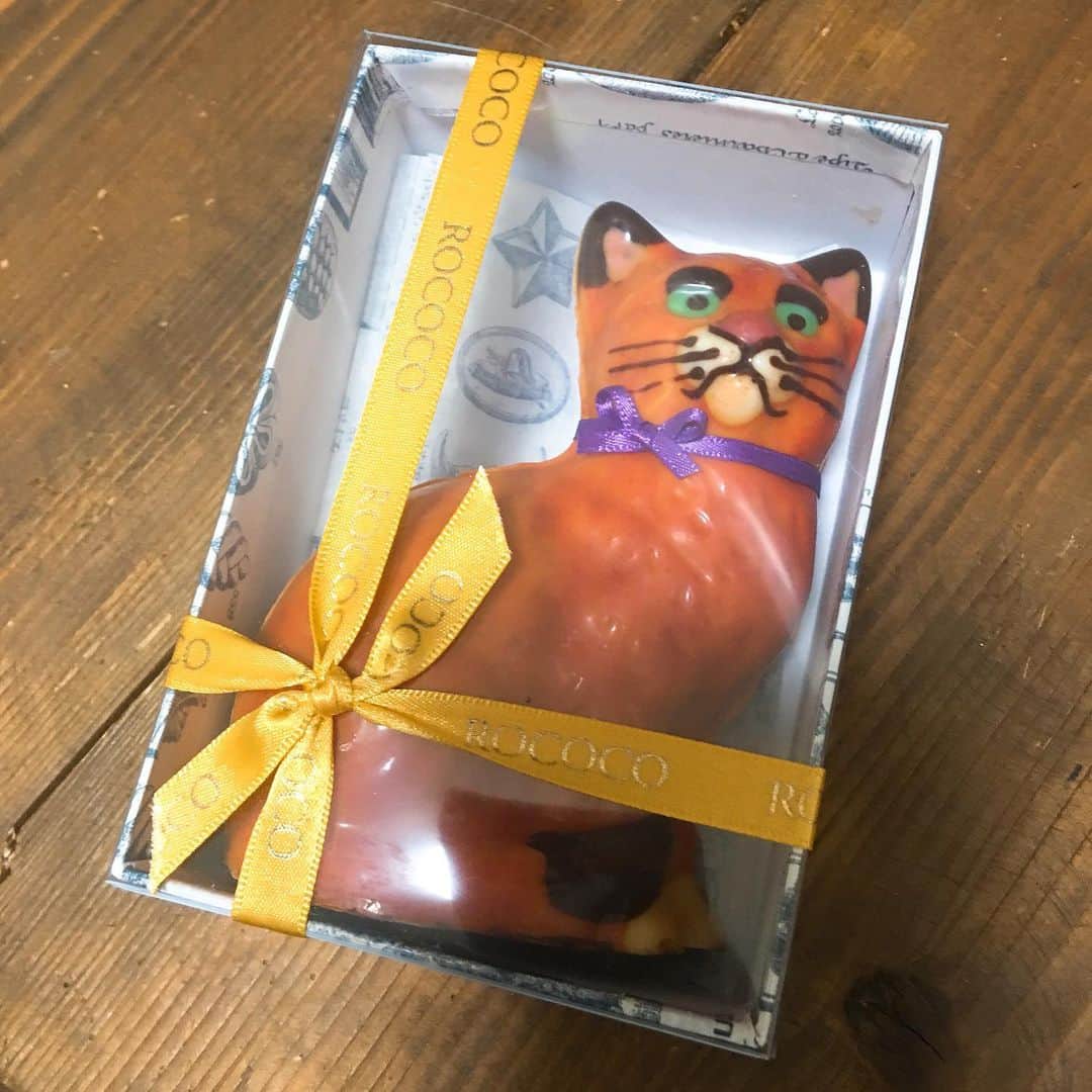 金巻ともこのインスタグラム