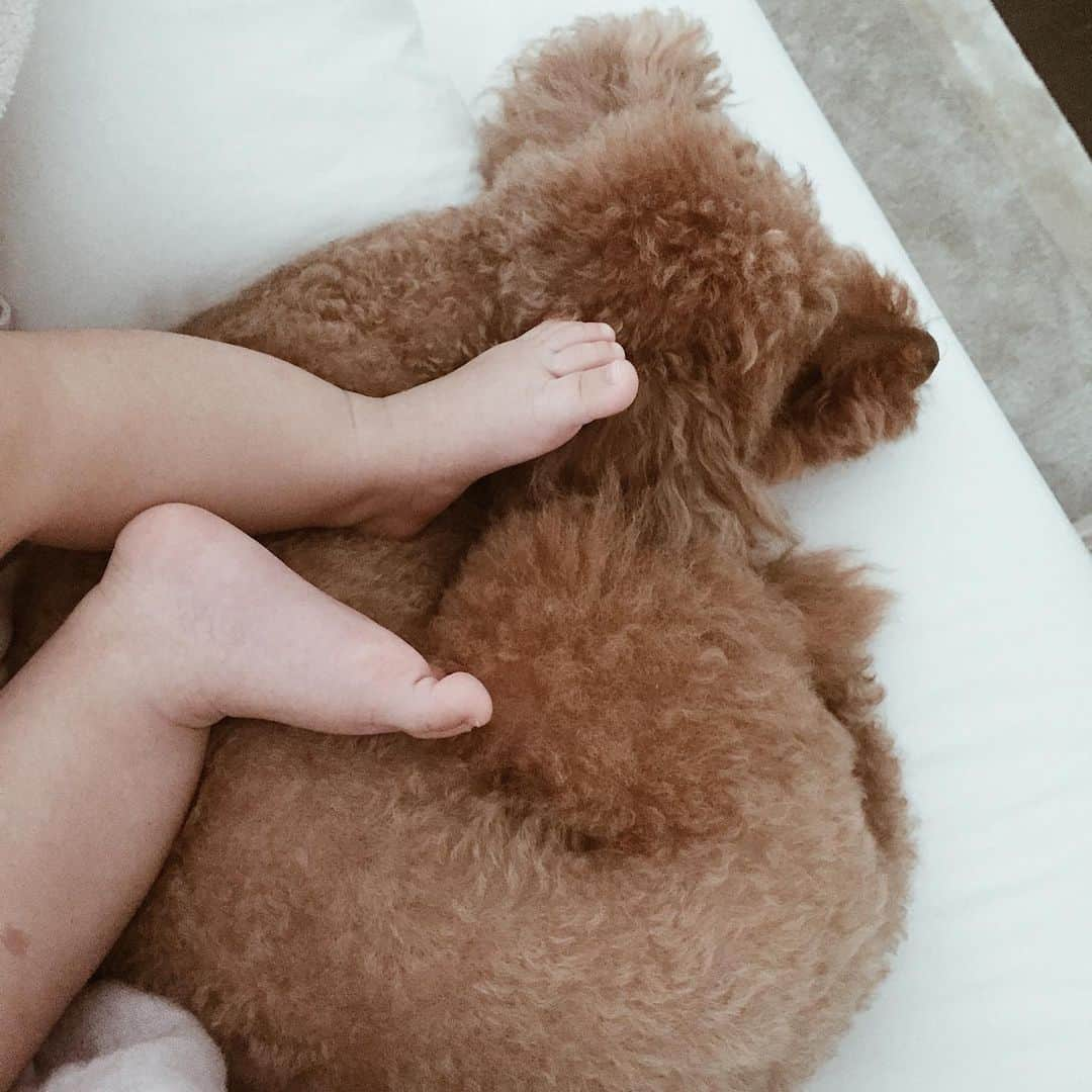 Shokoさんのインスタグラム写真 - (ShokoInstagram)「Baby and Latte. ・ 1 month. 2 months.. 3 months... went by so fast. ・ #babysfeet #iloveyou #puppylove」5月24日 23時49分 - simplytokyo