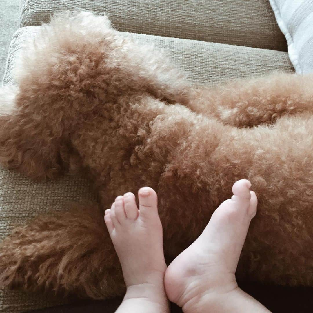 Shokoさんのインスタグラム写真 - (ShokoInstagram)「Baby and Latte. ・ 1 month. 2 months.. 3 months... went by so fast. ・ #babysfeet #iloveyou #puppylove」5月24日 23時49分 - simplytokyo