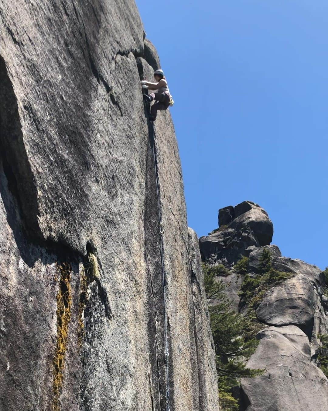 植田夢月のグルメインスタ