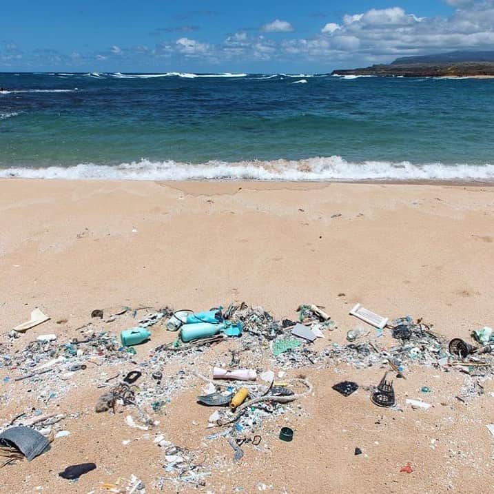 LUSH Cosmeticsさんのインスタグラム写真 - (LUSH CosmeticsInstagram)「Since 2011, @sustainablecoastlineshawaii has recycled more than 200,000 lbs of ocean plastic. But beach and ocean cleanups are only one part of the solution: we need to educate ourselves about the harmful effects of ocean plastics while minimizing our dependency on plastics in our everyday lives. 🌎🌍🌏」5月25日 0時49分 - lushcosmetics