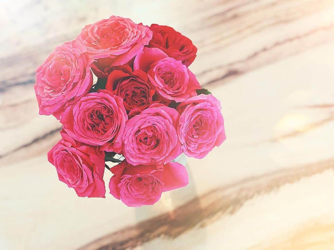 薗田杏奈さんのインスタグラム写真 - (薗田杏奈Instagram)「#10本の薔薇#ピンク#赤 #花言葉 #😭 #🌹」5月25日 1時15分 - love.byanna