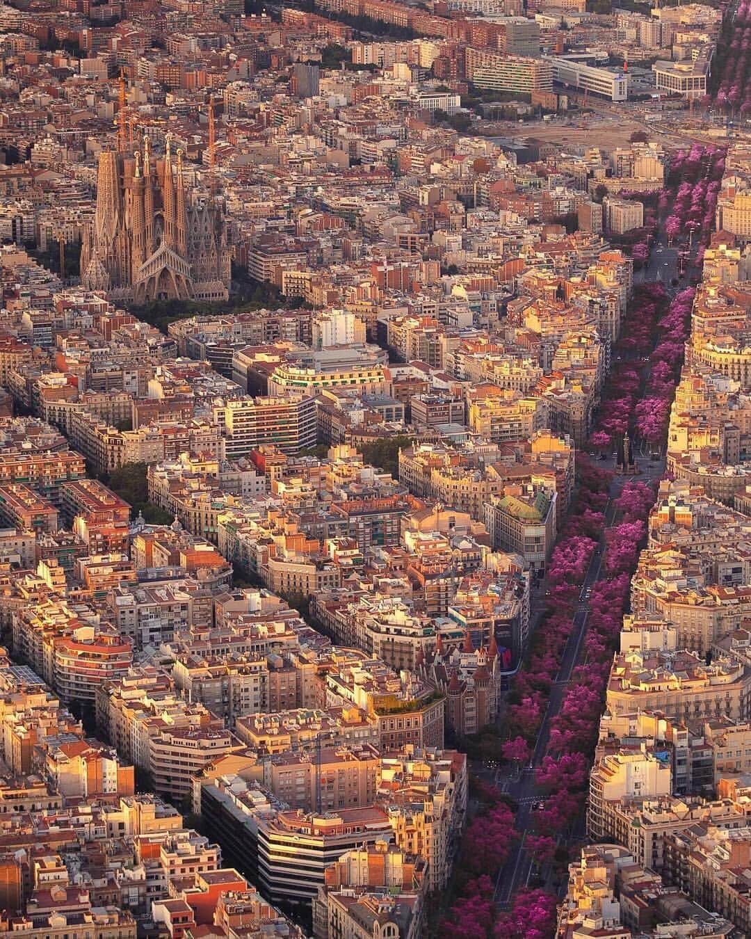 Canon Photographyさんのインスタグラム写真 - (Canon PhotographyInstagram)「The amazing street grid of Barcelona. This style of architecture is called Eixample and is characterized by long straight streets, a strict grid pattern crossed by wide avenues, and square blocks with chamfered corners.  Photography | @jacob  Canon 1dx mark II #barcelona #streetgrid #architecturephotography #helicopter #aerialphotography #spain #catalonia #sagradafamilia #gaudi」5月25日 1時26分 - cpcollectives