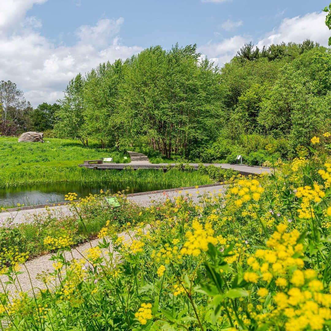 ニューヨーク植物園さんのインスタグラム写真 - (ニューヨーク植物園Instagram)「Memorial Day weekend is nearly here, and NYBG is the perfect place to spend it. There's so much to see and do, with late-spring blooms in the Rock Garden and Native Plant Garden, daily cooking demonstrations and gardening activities for the kids, and more. Don’t forget that we’ll be open this Monday, May 27, to honor the day.」5月25日 1時33分 - nybg