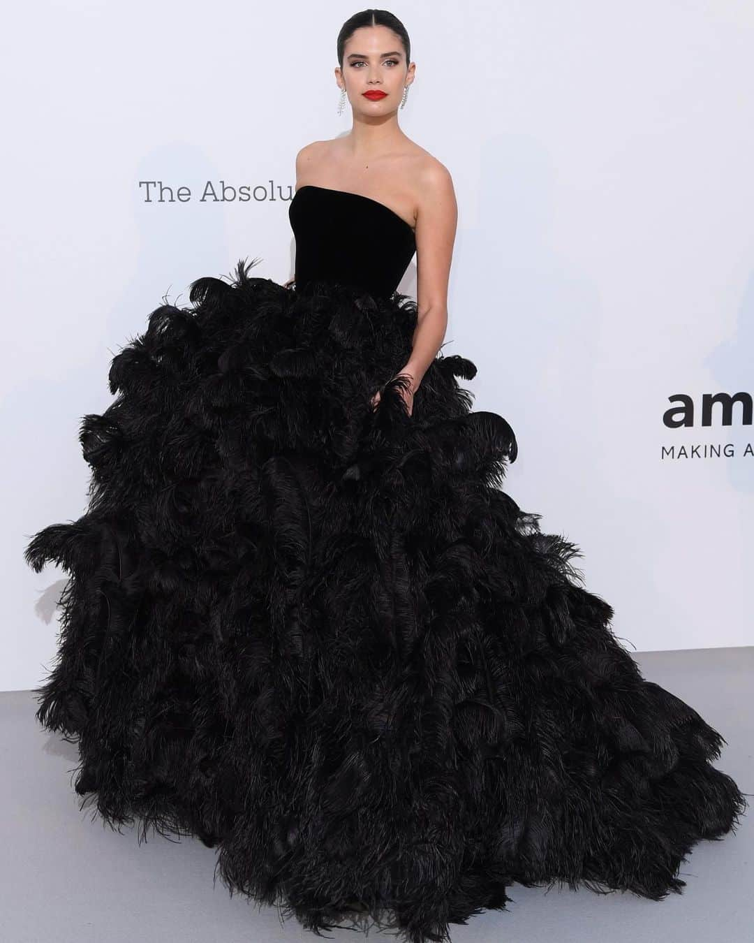 サラ・サンパイオさんのインスタグラム写真 - (サラ・サンパイオInstagram)「What a swan dream! Thank you @amfar for a lovely and inspiring night! Wearing the most amazing @armani dress!」5月25日 2時06分 - sarasampaio