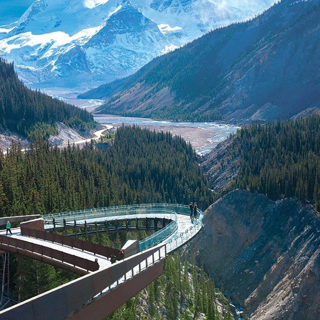 Explore Canadaさんのインスタグラム写真 - (Explore CanadaInstagram)「If you’re brave enough to walk out on the glass floor, you’ll be rewarded with jaw-dropping views of the Rocky Mountains and the Sunwapta Valley below. The journey starts at the Columbia Icefield Glacier Discovery Centre in Jasper. Purchase your ticket and then catch the transfer shuttle to the entrance (there is no parking at the Skywalk). From here, take your time to walk along the Discovery Trail, before coming to the glass-floored observation platform. Then, test your bravery by stepping out onto the glass floor, 280 metres (918 feet) above the ground below! #ExploreCanada 📷: @pursuitbanffjasper 📍: @TourismJasper @TravelAlberta . #MyJasper #ExploreAlberta #skywalk #rockymountains」5月25日 2時11分 - explorecanada