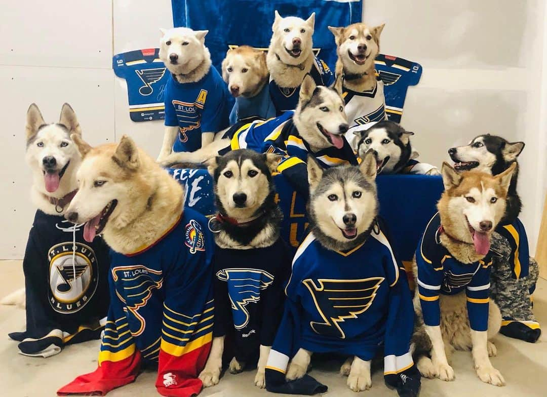 NHLさんのインスタグラム写真 - (NHLInstagram)「*howls Gloria* #StanleyCup #MyPlayoffsMoment (📷 @breakawaysiberians)」5月25日 2時35分 - nhl