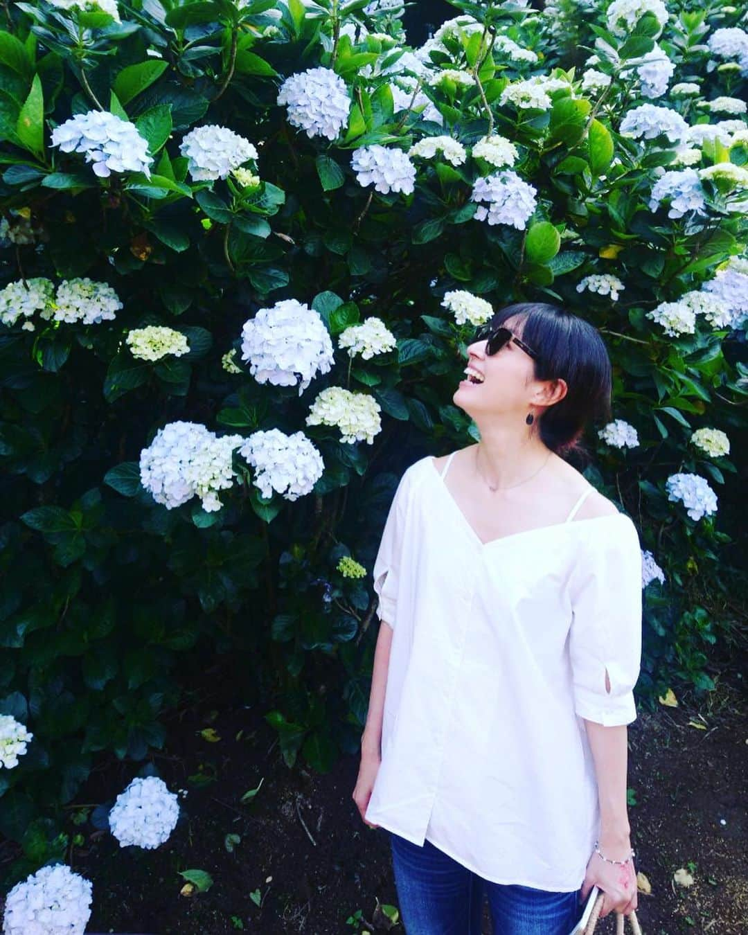 田中千絵さんのインスタグラム写真 - (田中千絵Instagram)「台湾は紫陽花の季節になりました。  日本はどうですか？  それにしても、 今日の日本は台北よりも高い気温のようです。  水分たくさんとって、 紫陽花の写真たくさんながめて 涼んでくださいね！ . . 台灣進入了繡球花的季節。  日本呢？  今天日本的溫度已經飆到35度， 比台北還熱的樣子。  請在日本的朋友多喝水， 多來看看繡球花的照片消暑吧！ . . . #たいわん #taiwan #taipei  #紫陽花 #繡球花 #hydrangea  #陽明山 #台湾旅行 #台北の風景  #台北と東京の生活  #中国語 #田中千繪 #田中千絵」5月25日 14時59分 - chietanaka817