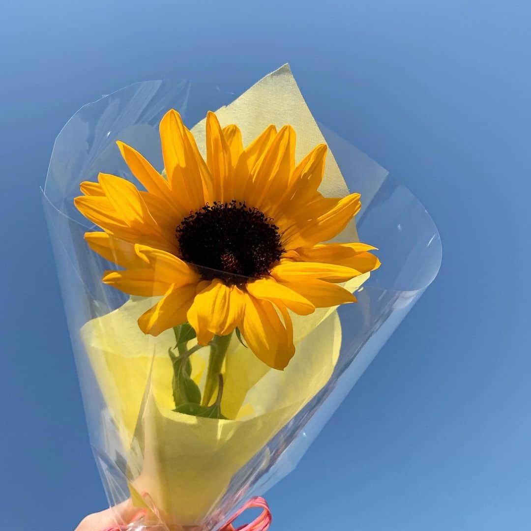 新原愛加のインスタグラム：「💙🌻💙」