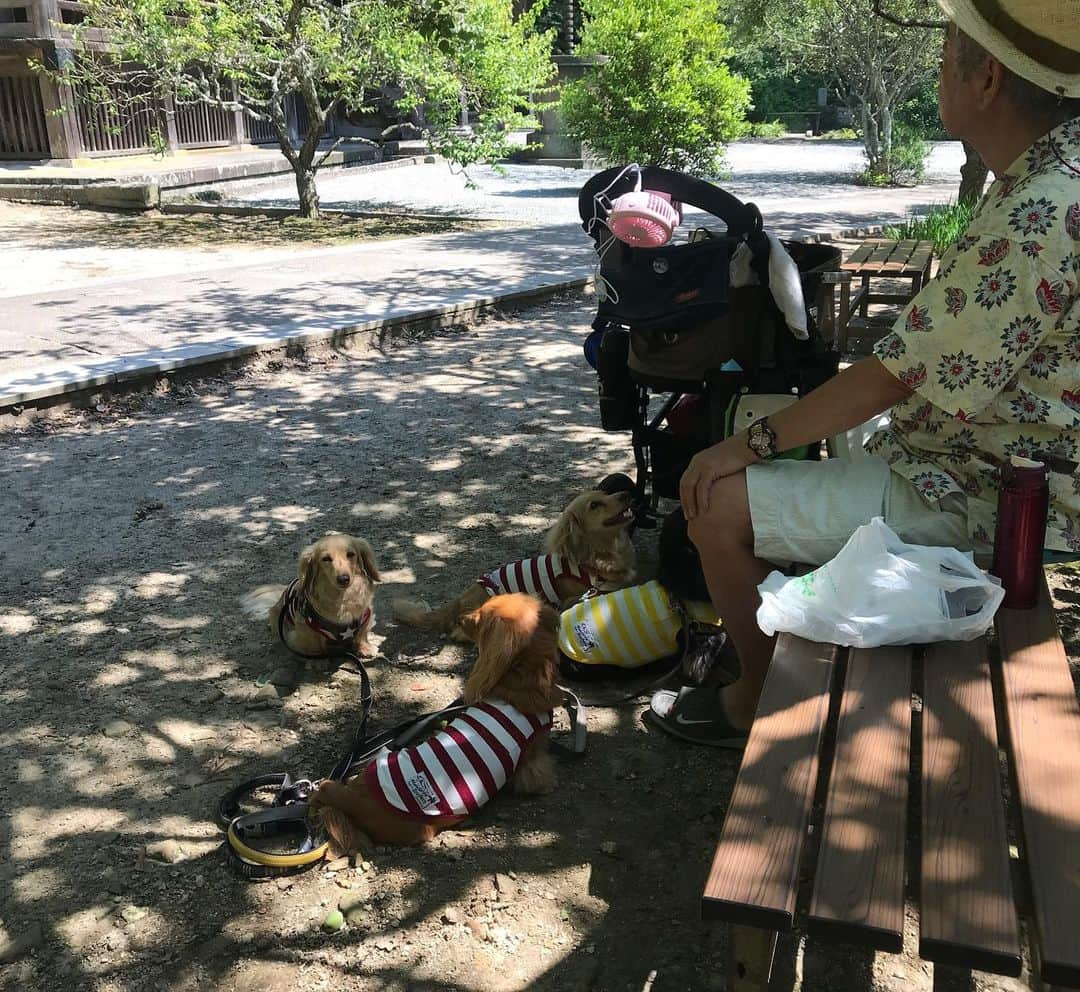 メルロコ一家の楽屋裏さんのインスタグラム写真 - (メルロコ一家の楽屋裏Instagram)「#鎌倉#妙本寺 木陰で休憩。パパはロング缶。」5月25日 13時37分 - merulocomocodon