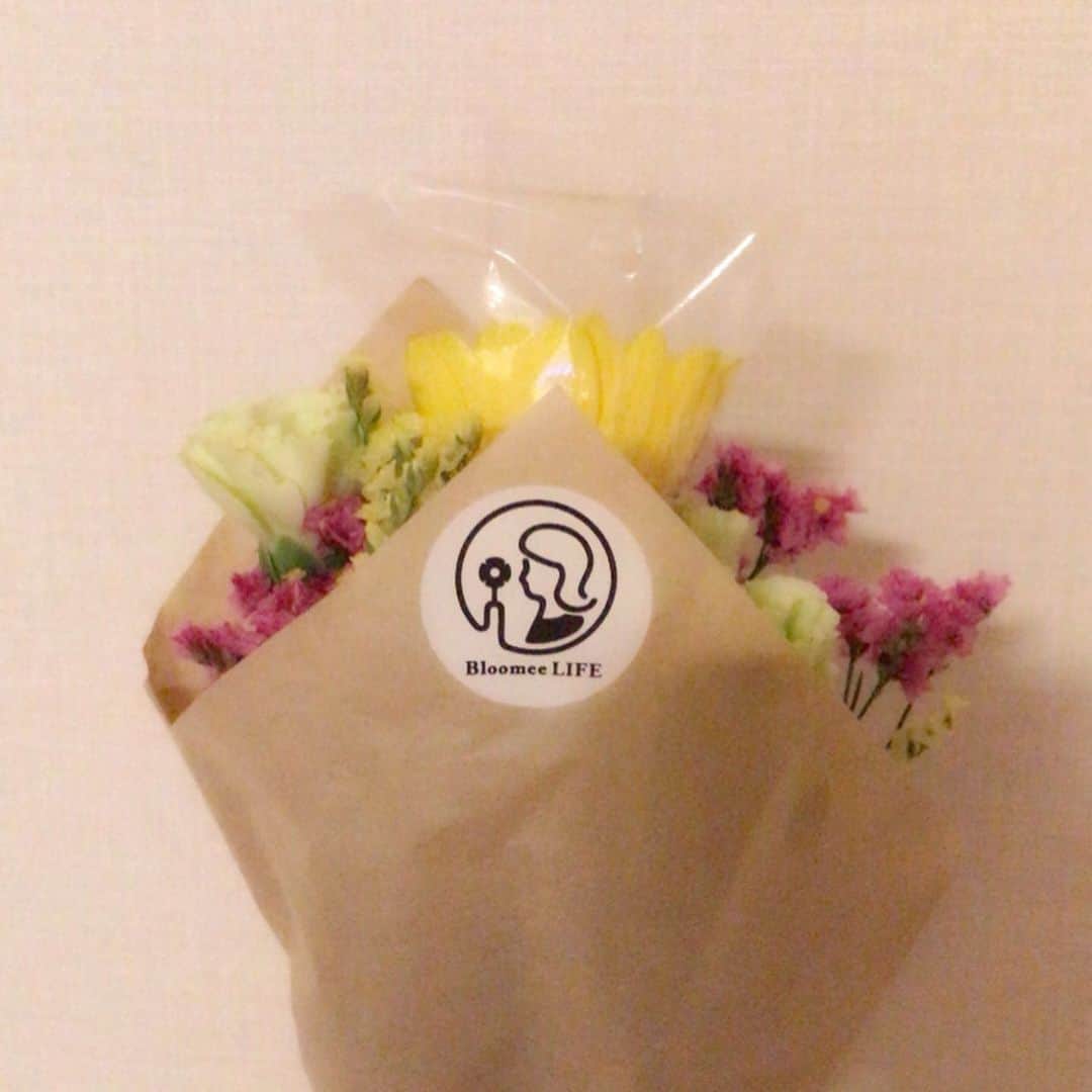坪田めぐみさんのインスタグラム写真 - (坪田めぐみInstagram)「・ #花のある暮らし ・ ・ @bloomeelife  毎週ワンコインで自宅のポストにお花が届くサービス「Bloomee LIFE」のサポーター活動をさせて頂きました。 ・ 今回頂いたお花は ［1枚目] #ガーベラ (サンディ) ［2枚目] #SPカーネーション (ラスカルグリーン) #hbスターチス (キノラパン、京舞) ［3枚目] こんな感じで届きます💐 ・ 普段自分で選ばないお花や配色が届いたりもするので、どんな風に飾ろうか、考えが広がるので届くのが楽しみです。 ・ クーポンコード：REIWA362 ※有効期限：2019年7月31日 ・ ・ #bloomeelife#flower#flowers#flowerstagram#bloomeeサンタ#花のある生活#ワンコインフラワー#お花#花とクリスマス#ミニブーケ#花を飾る」5月25日 13時41分 - meg1006t