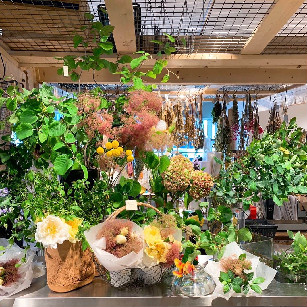 TODAY'S SPECIALさんのインスタグラム写真 - (TODAY'S SPECIALInstagram)「<MARKET-Hibiya> 本日 日比谷店には、吉祥寺のhibiさん（@hibinohana）にお越しいただき、お花の販売をして頂いております。 . グリーンがとても素敵なhibiさんのセレクト . ブルーベリーに大きな芍薬の花もあります。 大きな蕾の芍薬は咲くのが楽しみですね！ . ぜひ、お立ち寄り下さいませ。 . #todaysspecial #トゥデイズスペシャル #hibiya #東京ミッドタウン日比谷 #hibi」5月25日 14時13分 - cibone_ts