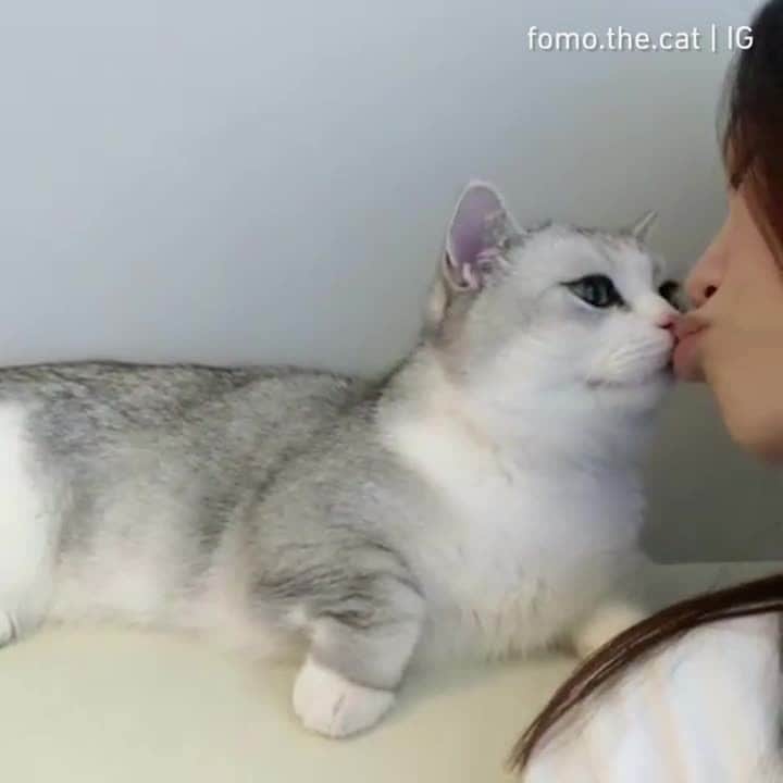 Aww Clubのインスタグラム