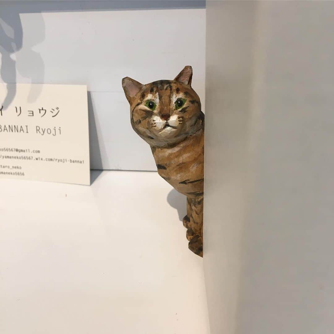 yamanekoのグルメインスタ