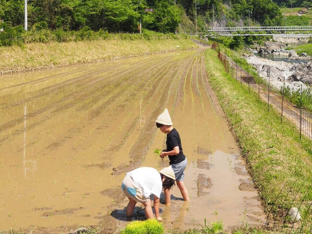 ゆうこさんのインスタグラム写真 - (ゆうこInstagram)「お返事前にごめんなさい。  今日は午前中、家族みんなで田植えをしました。 機械で植えれなかった場所は、子供たちが植えてくれました。  小学校では米づくりもしていて、 昨日はちょうど田植えだったようで、 2人とも慣れた手つきで上手に植えれていました😊  田植えのあとは、泥んこになって遊んだり、溝でザブザブ歩いたり、カエルやカニを見つけたり、おやつを食べたり、楽しそうに過ごしていました。  今日は暑かったですが、 無事おわってよかったです(*^^*) 美味しいお米ができますように🍚😊 ・  #田植え #田舎暮らし #子供 #じいちゃん #家族 #田んぼ #自然 #山 #スローライフ #slowlife #川 #空 #くらし  #きろく  #日々 #帽子 #農家 #農業#米づくり」5月25日 14時40分 - slow.life.works