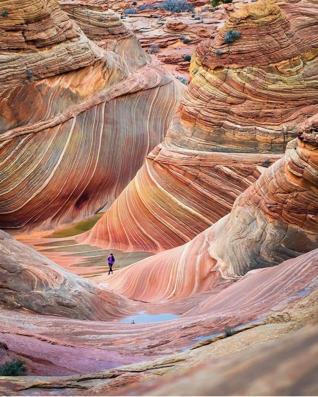 Wonderful Placesさんのインスタグラム写真 - (Wonderful PlacesInstagram)「The Wave - Arizona ✨❤️❤️❤️✨ . Pictures by ✨@travisburkephotography ✨ & ✨@chelseakauai✨ #wonderful_places for a feature ❤️」5月25日 14時47分 - wonderful_places