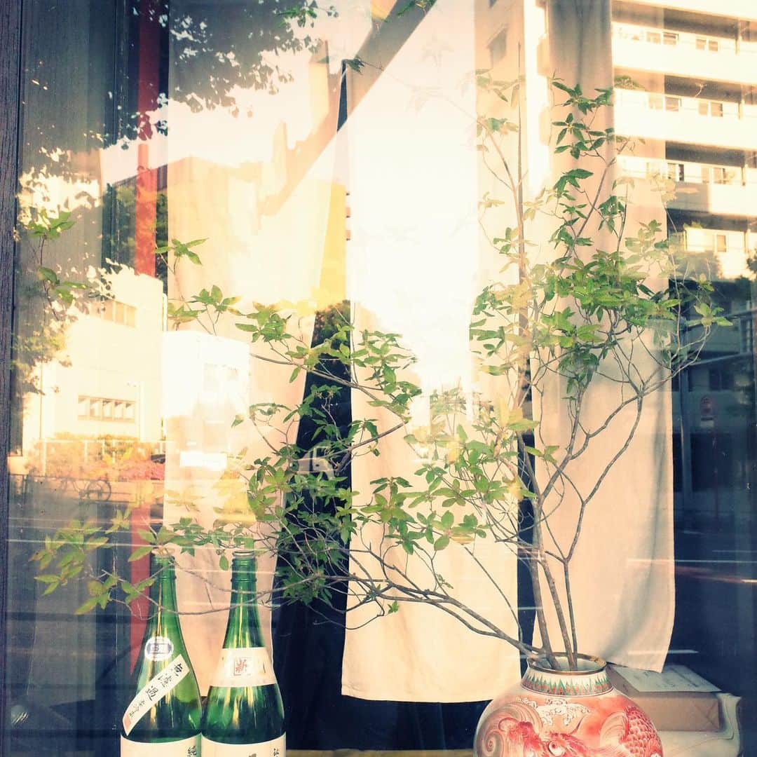 のインスタグラム：「#daikanyama #tokyo#kyuyamate#street」