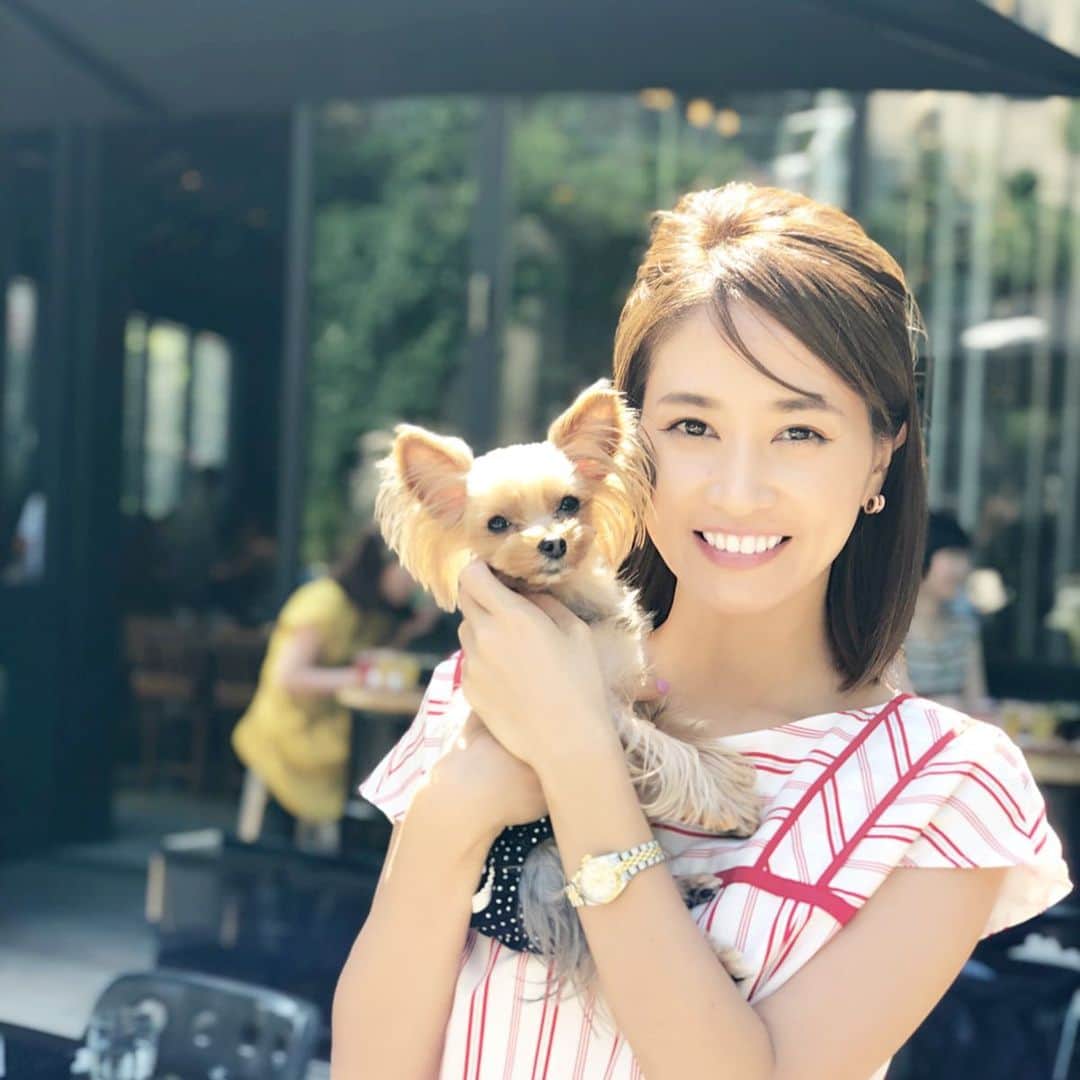 のインスタグラム：「おはヨーキー👸 ・ お天気良い日が続くだけでhappyですね✨ ・ この前ログロードでテラスランチ☺︎ ・ 渋谷のあるカフェで大人気のチキンワッフルがここにもあった‼️ ・ もちろん食べました、w ・ 姫ちゃんも風が気持ちよさそうでした👸✨ ・ 梅雨前の週末お出かけ日和ですね☺︎ ・ 楽しい週末を〜☺︎ ・ #おはヨーキー#代官山#ログロード代官山 #ログロード#ランチ#ワンコok#ワンコokカフェ#カフェ#代官山カフェ#アラフォー#アラフォーライフ#ヨーキー#yorkie#yorkshireterrier #dogsofinstagram #dog #yorkielovers #チキンワッフル#holiday#週末#愛犬#家族#愛犬との暮らし」