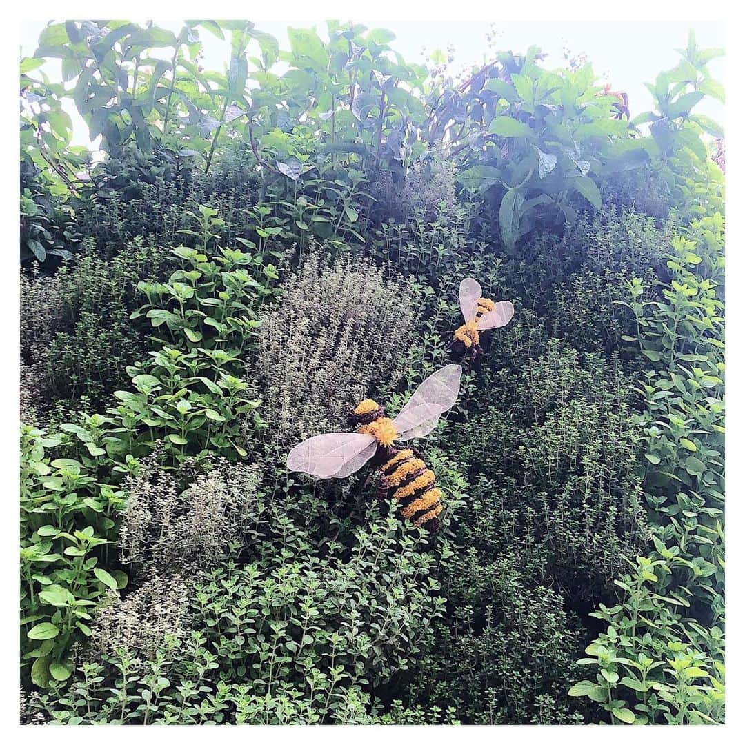 Olivia Burtonさんのインスタグラム写真 - (Olivia BurtonInstagram)「Our team spent the day today immersing themselves in all things Chelsea Flower Show! The inspiration behind our latest Best In Show collection 🌸🌱 Check out our Stories to see what we got up to 👉🏼 #MyOliviaBurton #ChelseaFlowerShow」5月25日 7時46分 - oliviaburtonlondon