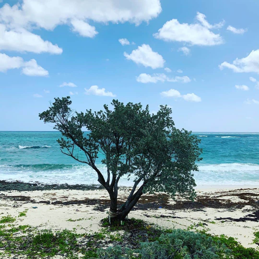 ボビー・ブラウンのインスタグラム：「Hello #beachtree  When the imperfect is is actually so perfect @bakersbay」