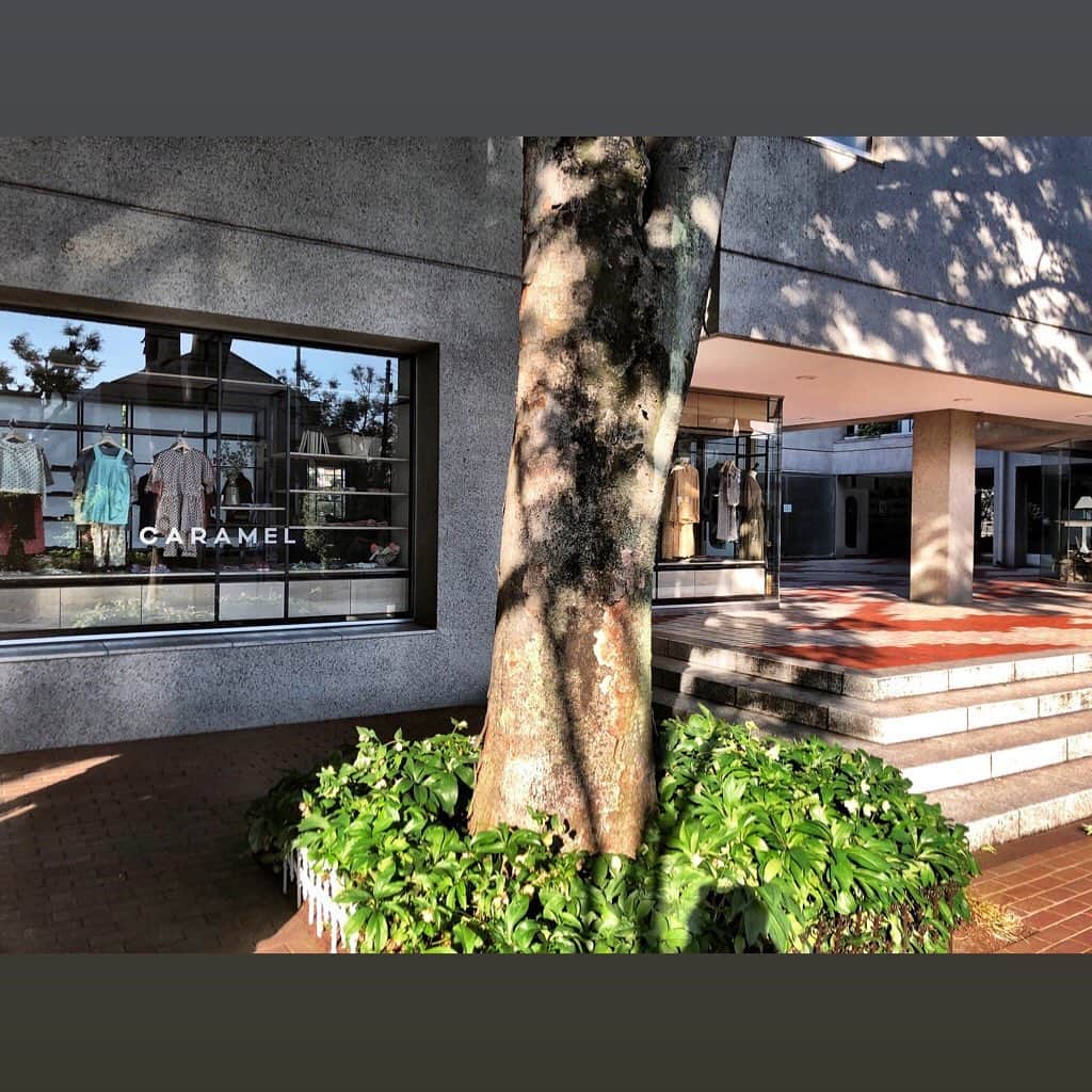 のインスタグラム：「#daikanyama#hillsideteracce#minamihiroshi.com」