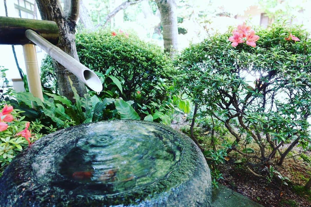 いぶくろ聖志さんのインスタグラム写真 - (いぶくろ聖志Instagram)「夏日。 福岡音恵。  #camera #japan」5月25日 8時47分 - b.smpl