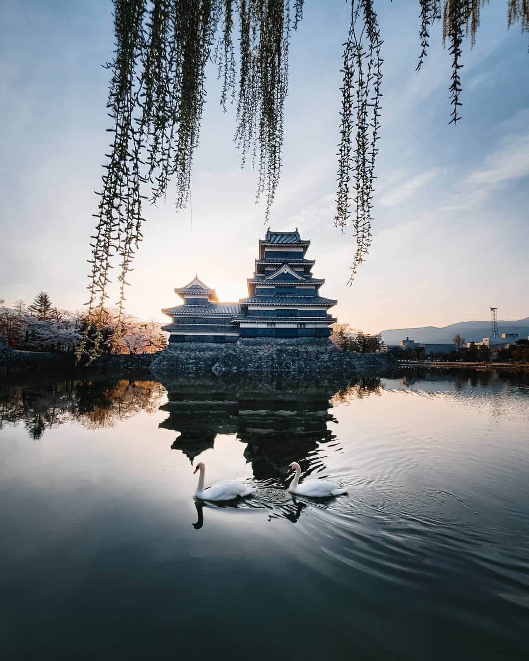 Galaxy Mobile Japanさんのインスタグラム写真 - (Galaxy Mobile JapanInstagram)「今日は長野の「松本城」の荘厳な姿をお届け🏯2枚目の、優雅に泳ぐ白鳥と共演は超広角カメラで撮影しました📸 #GalaxyS10 | S10+ なら、広角カメラで遠くのお城と景色をバランスよく撮影したり、超広角カメラで朝焼けに染まる空と、水面に映るリフレクションを、丸ごと1枚の写真に収めたりもできますよ♪ 📸#GalaxyS10 #withGalaxy Photo by @_deepsky」5月25日 9時01分 - samsungjpn