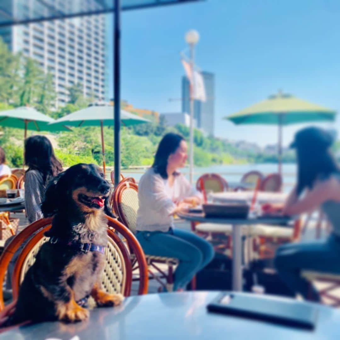 エリザベス・ハードキャッスルのグルメインスタ