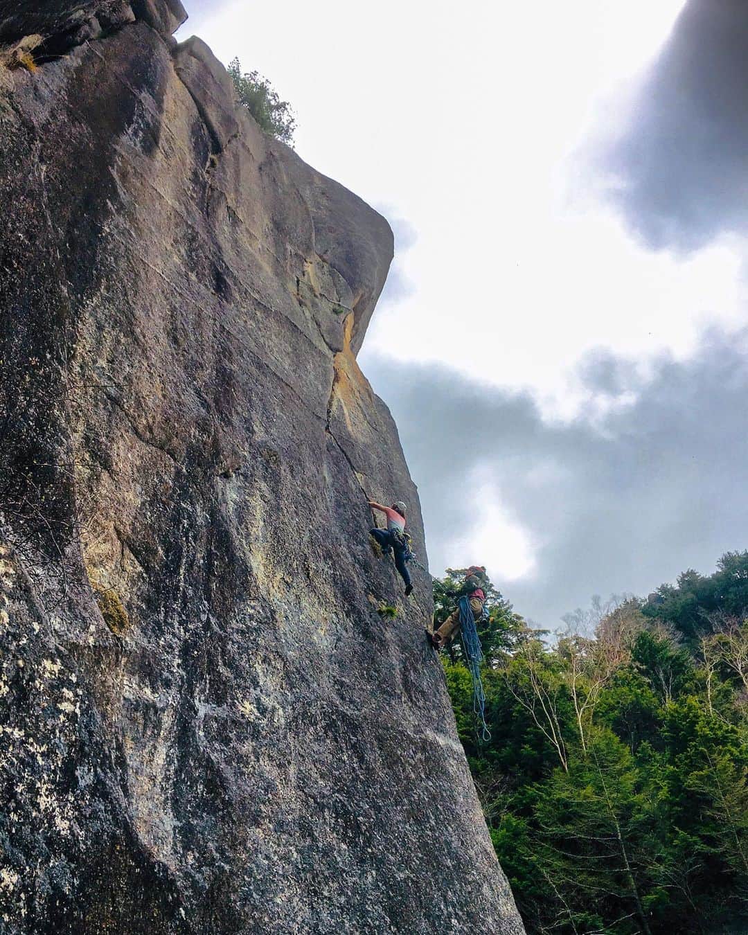 植田夢月のグルメインスタ