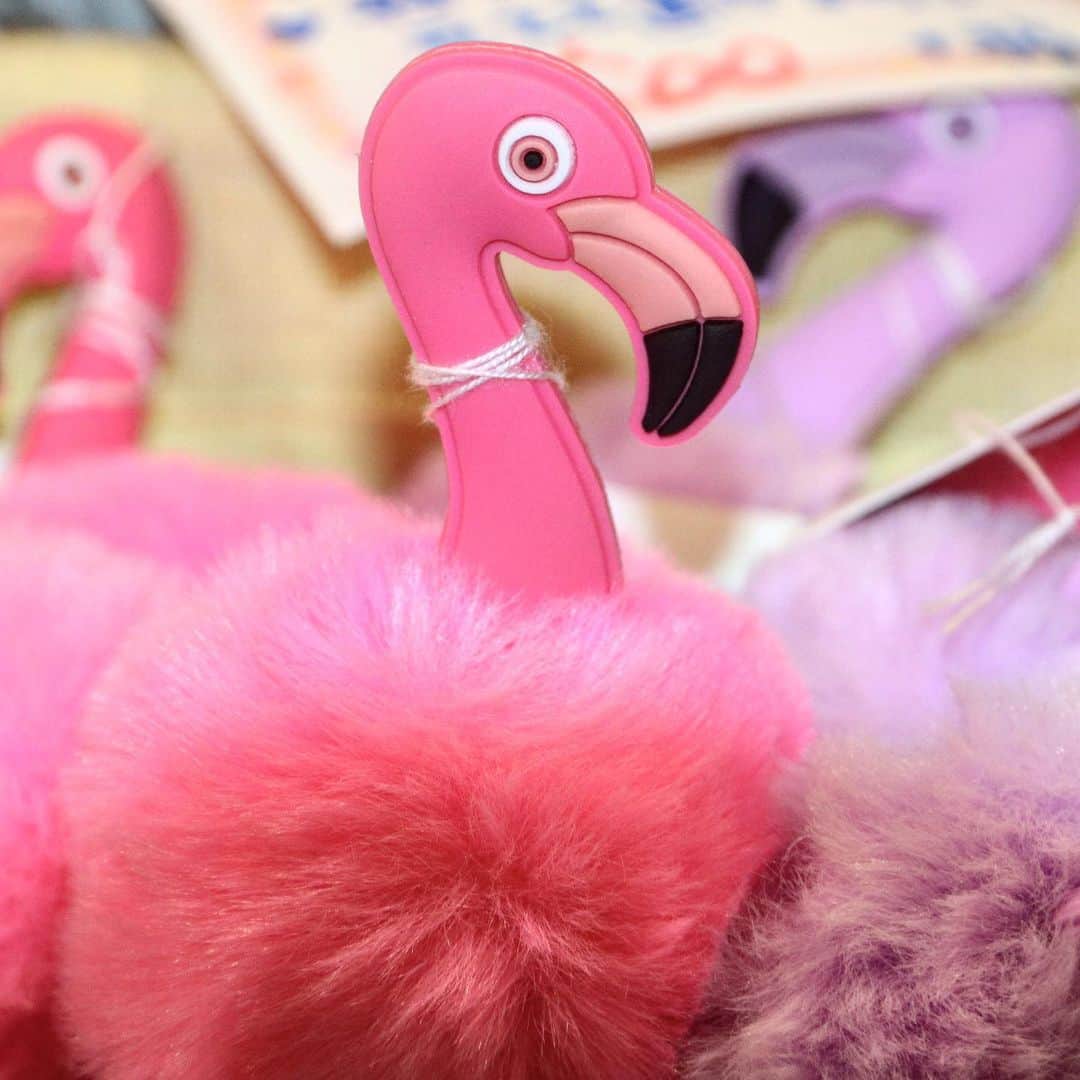 ココハウスのグルメインスタ