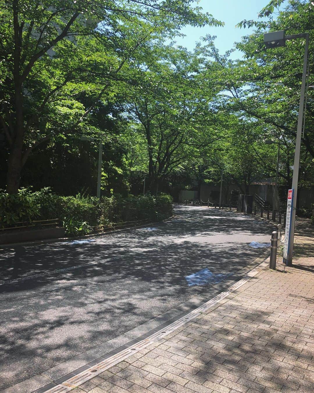 白石ゆうかさんのインスタグラム写真 - (白石ゆうかInstagram)「朝カフェ☕️ 木漏れ日がとっても綺麗で気持ちいい🍃  #cafe #木漏れ日 #綺麗 #写真好きな人と繋がりたい #morning #いぬすたぐらむ #beautiful #散歩」5月25日 10時39分 - shiraishi_yuuka