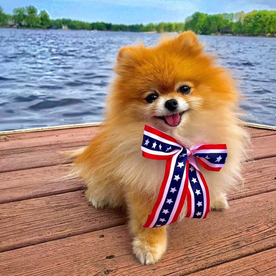 Monique&Gingerのインスタグラム：「Home of the free🇺🇸because of the brave💪🏻Wishing everyone a nice Memorial Day weekend💙❤️So happy to be back at our lake house for the summer!🏡🛶」