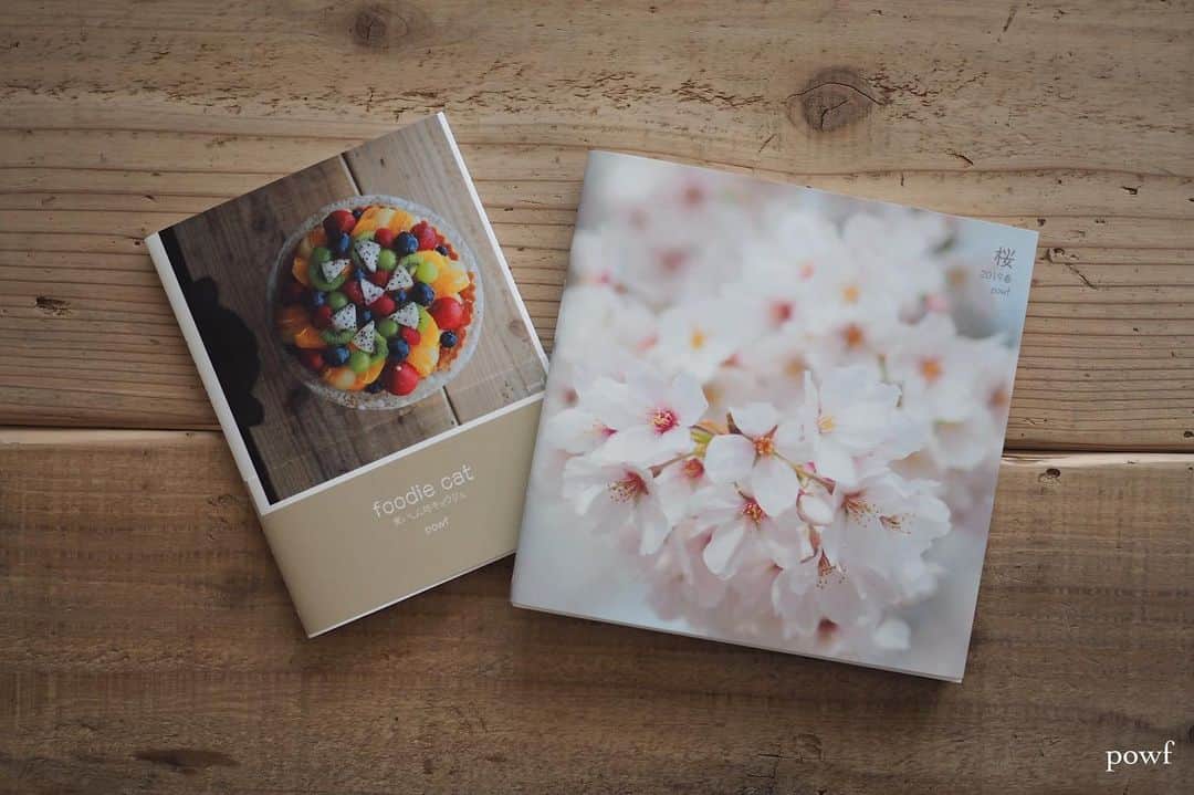 anemone_69のインスタグラム：「. . #photoback で作った 「foodie cat 食いしん坊キョウジュ」と 「桜 2019春」の写真集が つい先ほど届きましたーーー . 中身はプロフィール欄URLから 見られるようになっているので、 よかったらご覧ください ₍˄.͡˳̫.˄₎ฅ˒˒ . . #フォトバック #フォトブック . . .」