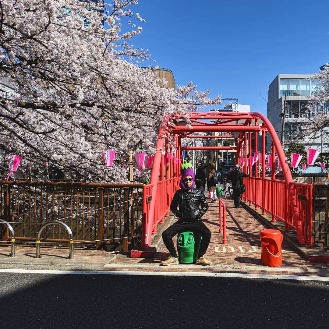 川原克己 さんのインスタグラム写真 - (川原克己 Instagram)「今日、12時から 🌸期間限定🌸 ポテンヒット新商品発売開始 商品はストーリーをポテンヒットし野菜🍆 ※僕が着用しているのはLでございなす #花見」5月25日 11時11分 - tenjikunezumikawahara