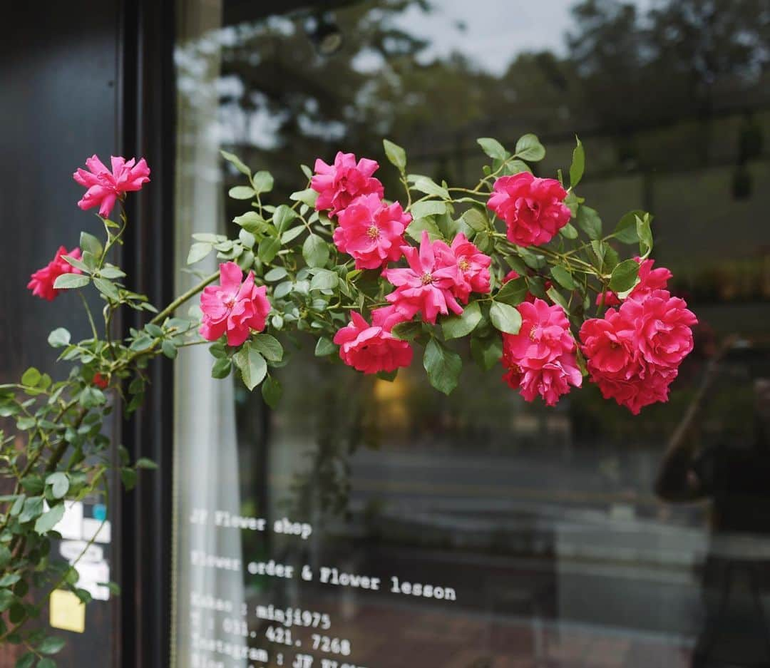 JF flower Shopさんのインスタグラム写真 - (JF flower ShopInstagram)「❤️ Jf flower shop. . . . .#2019jfflowershop #jfflowershop #flower #florist #floral #flowerlesson #koreanflorist #flowerstagram  #koreanflower  #웨딩부케 #플로리스트 #플로리스트수업 #핸드타이드  #범계플라워레슨 #꽃꽂이 #플라워레슨 #꽃꽂이수업 #안양꽃집 #범계꽃집 #평촌꽃집 #과천꽃집 #인덕원꽃집 #동편마을꽃집 #포일동꽃집 #내손동꽃집 #의왕꽃집 #花#花艺#플렌테리어」5月25日 11時12分 - jfflowershop