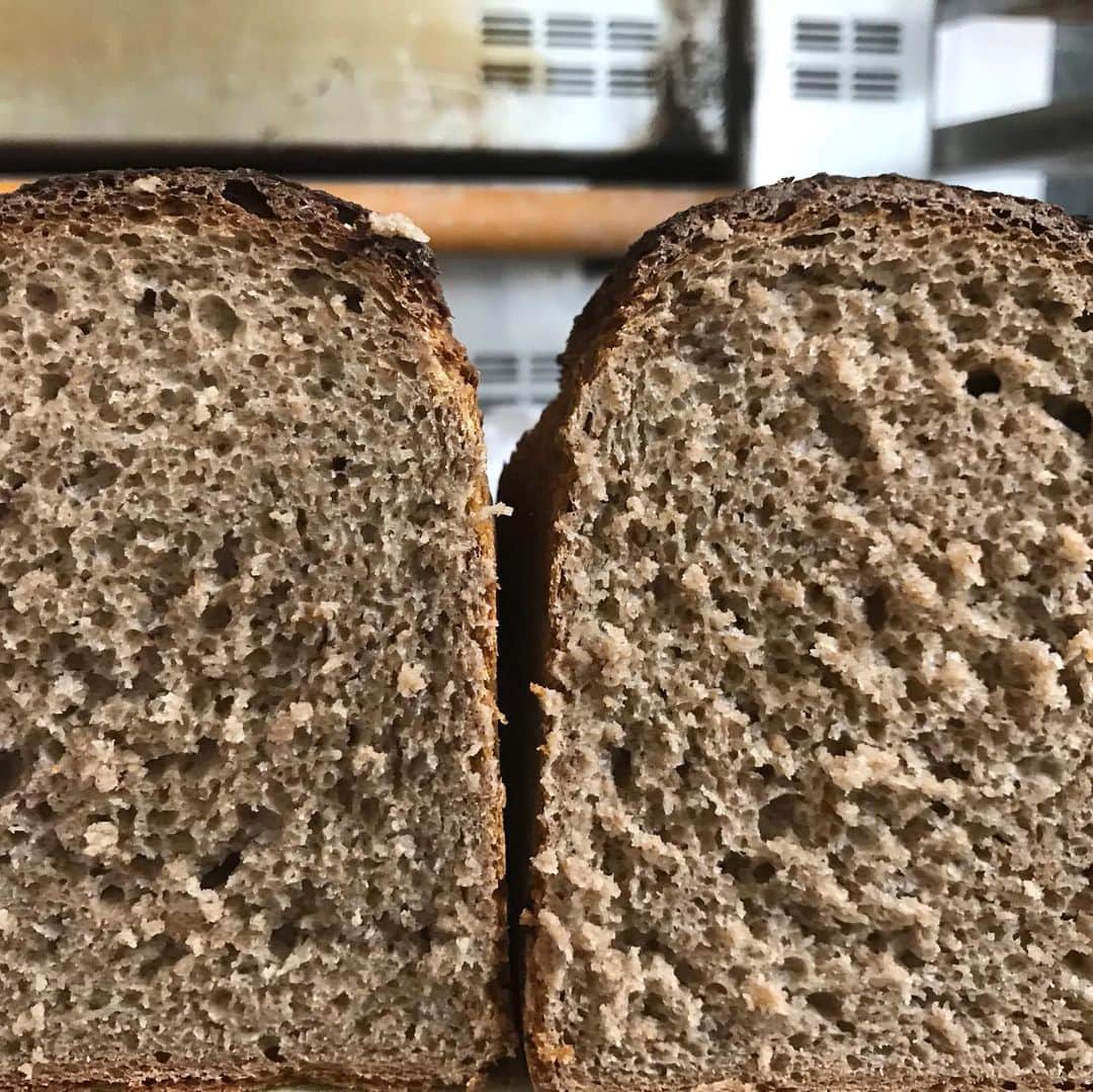 魔女菅原のグルメインスタ