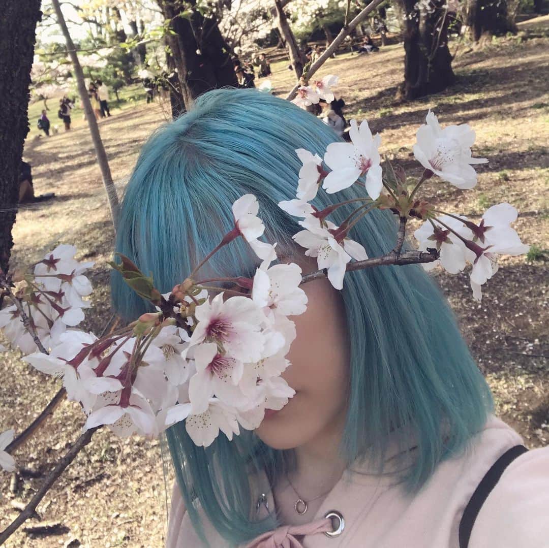 mimeiのインスタグラム：「お久しぶり🐳💨🌸」