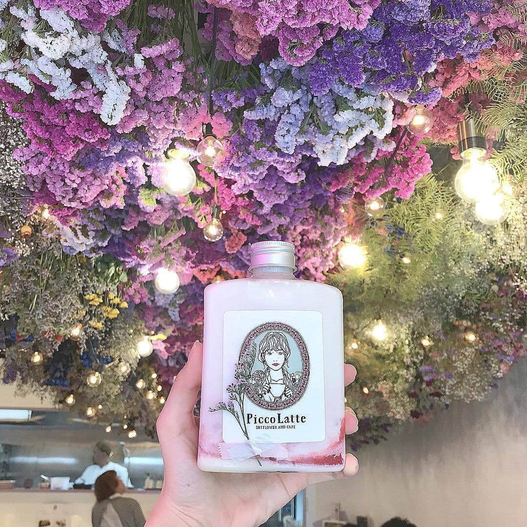 MERYのグルメインスタ