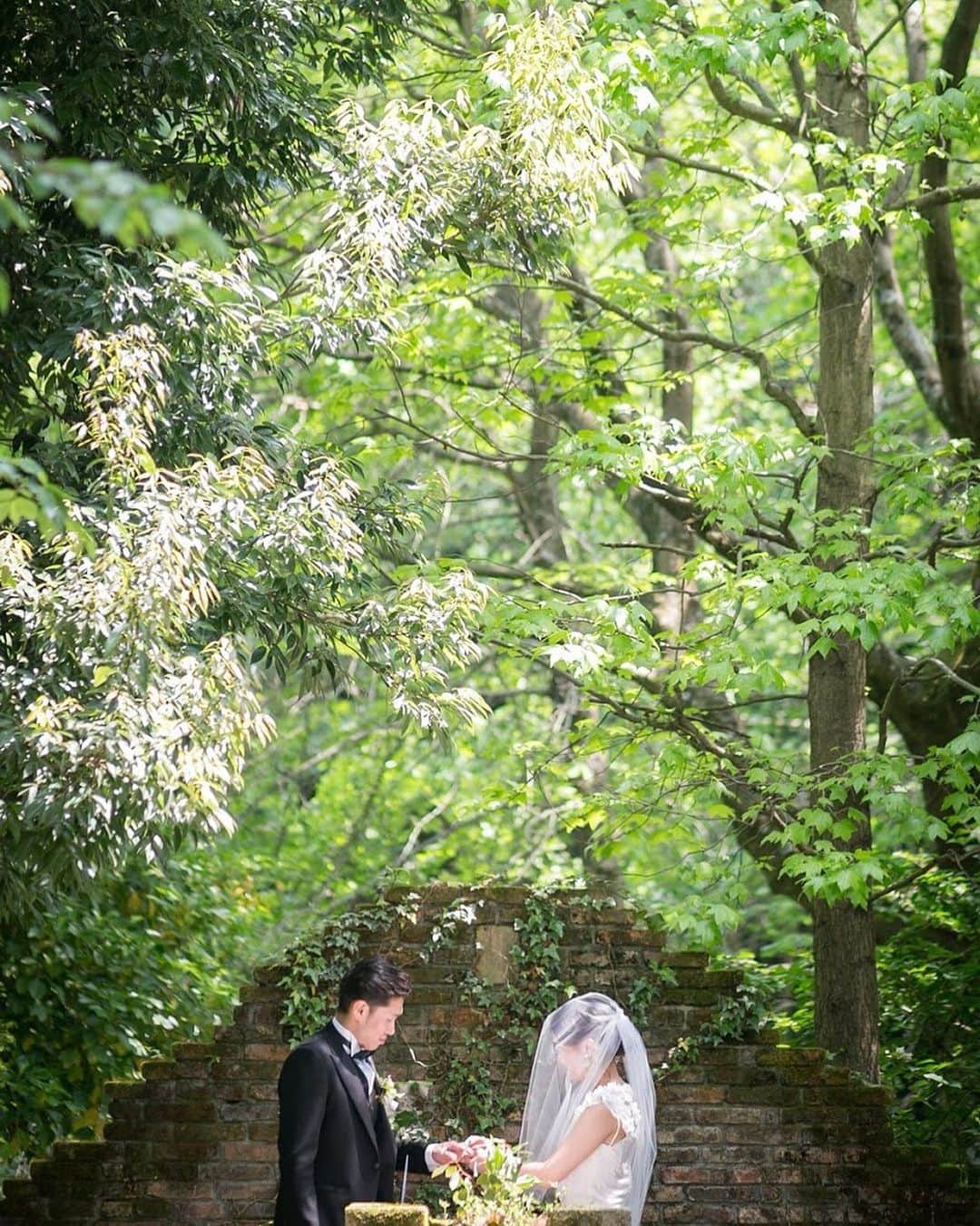 のインスタグラム：「#orbweddingreport -お問い合わせ--------------------------- ＠LINEからもお気軽にご連絡いただけます🙆‍♀️ 🆔@orb_wedding(@マーク含む) ☎︎ 0120-790-479 トップページのHPからもご覧くださいませ♡ ----------------------------------------- orbでお手伝いさせていただいたお客様より、素敵なお写真をいただきました👗💐 * *﻿ 指輪交換のシーン🍃🌿 *﻿ @greenhill_wedding のガーデンチャペルでの挙式は、 澄んだ空気、小鳥のさえずり・・・ 大自然に囲まれながらの 贅沢な時間を過ごせます。 *﻿ *﻿ お2人にも、お2人のゲストにも 間違いなく 『記憶にのこる結婚式』になったと思います😌💖 *﻿ * orbで式場探しとお衣裳選びのお手伝いをさせていただき、ありがとうございました🕊️ * #orb_wedding #ウェディングドレス #celestinaagostino #セレスティーナアゴスティーノ #結婚式 #前撮#フォトウェディング#パーティレポート #卒花嫁 #プレ花嫁 #日本中のプレ花嫁さんと繋がりたい #式場探し #ドレス探し #結婚式準備#運命の1着#フォトウェディング福岡 #パーティレポート #卒花フォト #プレ花嫁福岡 #式場探しレポ #ドレス探しの旅 #結婚式準備のお手伝い#とびきりのウェディングドレス  #オーブウェディング #2019夏婚 #2019秋婚 #2019冬婚 #2019春婚#令和婚」