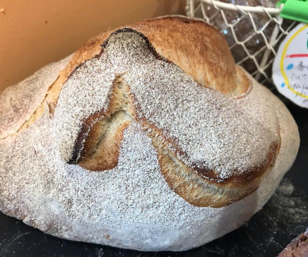 魔女菅原のグルメインスタ