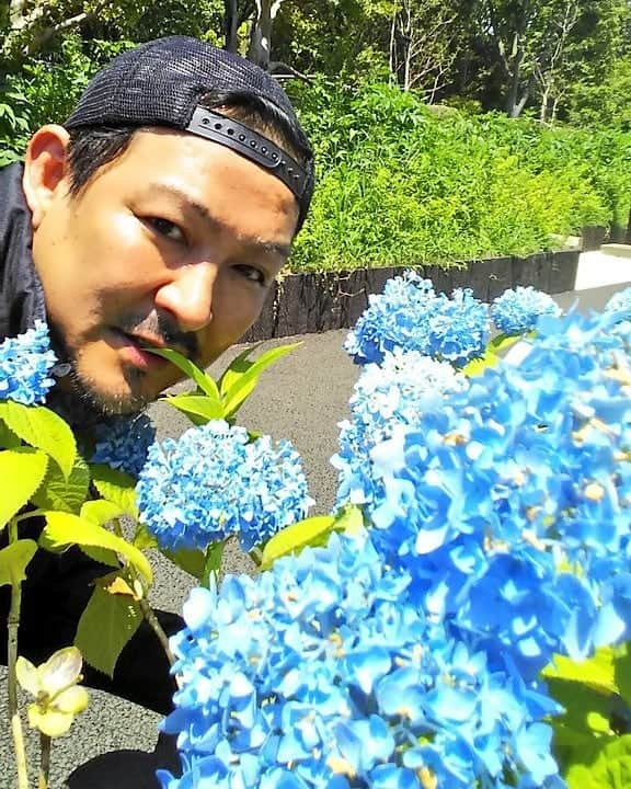 重松隆志さんのインスタグラム写真 - (重松隆志Instagram)「紫陽花がてんこ盛りに咲いてる！ 今日も暑いぞ。嫌いじゃない。  これからが夏！ その前に梅雨！  #これ夏 #重松隆志 #富樫未来 #中島舞香 #森岡朋奈 #紫陽花 #えん #チゲドッグ #金宮」5月25日 12時40分 - shige_man_