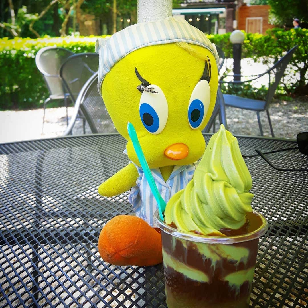 Little Yellow Birdさんのインスタグラム写真 - (Little Yellow BirdInstagram)「Time to go home... feeling sad, so a final icecream to cheer me up! It' s a green tea affogato; great use of caffeine😂. Now I'm ready to take flight!! #littleyellowbird #tweety #tweetykweelapis #adventures #yellow #bird #southkorea #zuidkorea #korea #travel #traveling #wanderlust #timetogohome #icecream #greentea #affogato #greenteaaffogato #ijsje #stuffedanimalsofinstagram #plushiesofinstagram」5月25日 12時45分 - tweetykweelapis