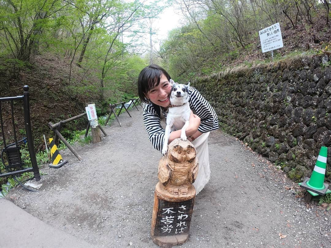 芳美リンさんのインスタグラム写真 - (芳美リンInstagram)「引き続き、トイと軽井沢旅行の時の~🐶♥ #ルシアン旧軽井沢　さんに行く前の寄り道スポット。  #白糸の滝　にて。  以前行ったときより、可愛い木の置物が増えていたり、わんこ用の味なしの#岩魚焼き　が売っていたり、色々と楽しめました♥  トイも大満足。  梟触ったので、トイも私も不苦労確定！笑  Here is shiraito falls. We enjoyed great view and grilled fish for dogs🐶  #愛犬と旅行 #犬のいる暮らし #国内旅行 #軽井沢#旧軽井沢 #旅したくなるフォト #japantrip #旅行 #travelstagram #旅人 #lynn_trip #旅 #travelme #travel #trip #traveler #トラベラー  #旅好きな人と繋がりたい #travelholics #ワンピース：#equl @equl_shop (ko-191-50732) #pr #リュック #palio#paliobag #goprojp#knt感旅」5月25日 12時59分 - lynn.lynn5