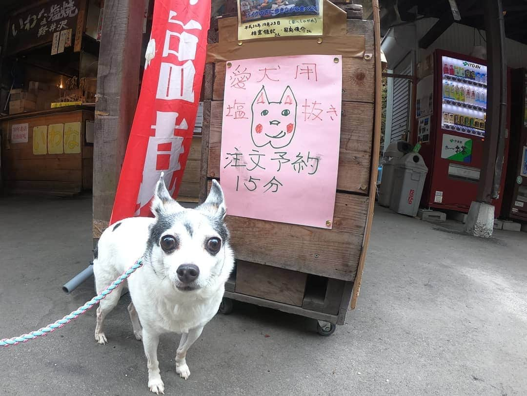 芳美リンさんのインスタグラム写真 - (芳美リンInstagram)「引き続き、トイと軽井沢旅行の時の~🐶♥ #ルシアン旧軽井沢　さんに行く前の寄り道スポット。  #白糸の滝　にて。  以前行ったときより、可愛い木の置物が増えていたり、わんこ用の味なしの#岩魚焼き　が売っていたり、色々と楽しめました♥  トイも大満足。  梟触ったので、トイも私も不苦労確定！笑  Here is shiraito falls. We enjoyed great view and grilled fish for dogs🐶  #愛犬と旅行 #犬のいる暮らし #国内旅行 #軽井沢#旧軽井沢 #旅したくなるフォト #japantrip #旅行 #travelstagram #旅人 #lynn_trip #旅 #travelme #travel #trip #traveler #トラベラー  #旅好きな人と繋がりたい #travelholics #ワンピース：#equl @equl_shop (ko-191-50732) #pr #リュック #palio#paliobag #goprojp#knt感旅」5月25日 12時59分 - lynn.lynn5