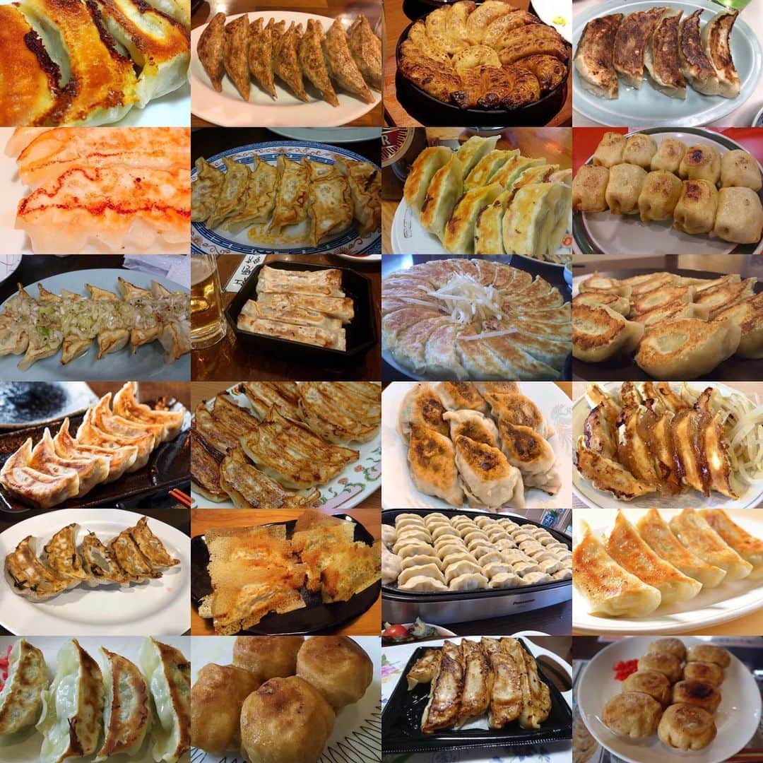 棚橋弘至さんのインスタグラム写真 - (棚橋弘至Instagram)「Twitterで「餃子食べたい」と呟いたら餃子画像が大量に送られてきた。その #餃子 🥟画像を編集して、眺めて、幸せ。」5月26日 0時21分 - hiroshi_tanahashi