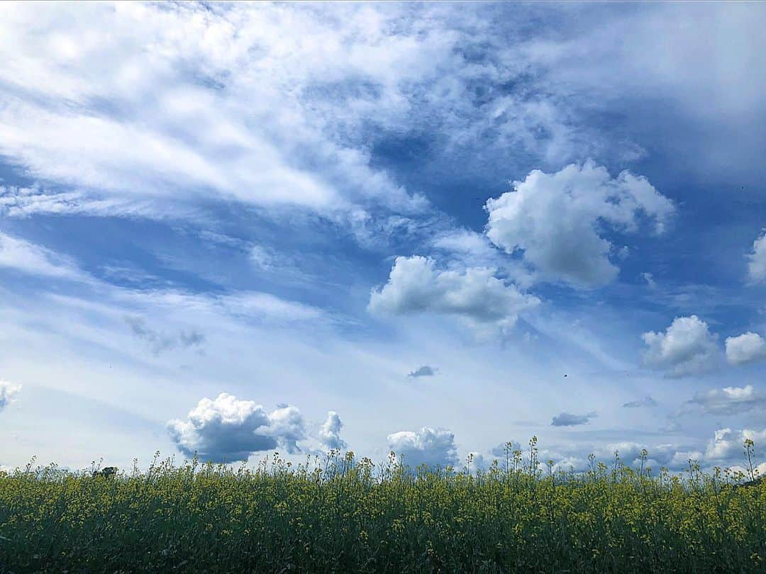 ナタリー・インブルーリアさんのインスタグラム写真 - (ナタリー・インブルーリアInstagram)「Takes my breath away 😍☀️ #oxfordshire #cloudporn」5月25日 22時59分 - natalie_imbruglia