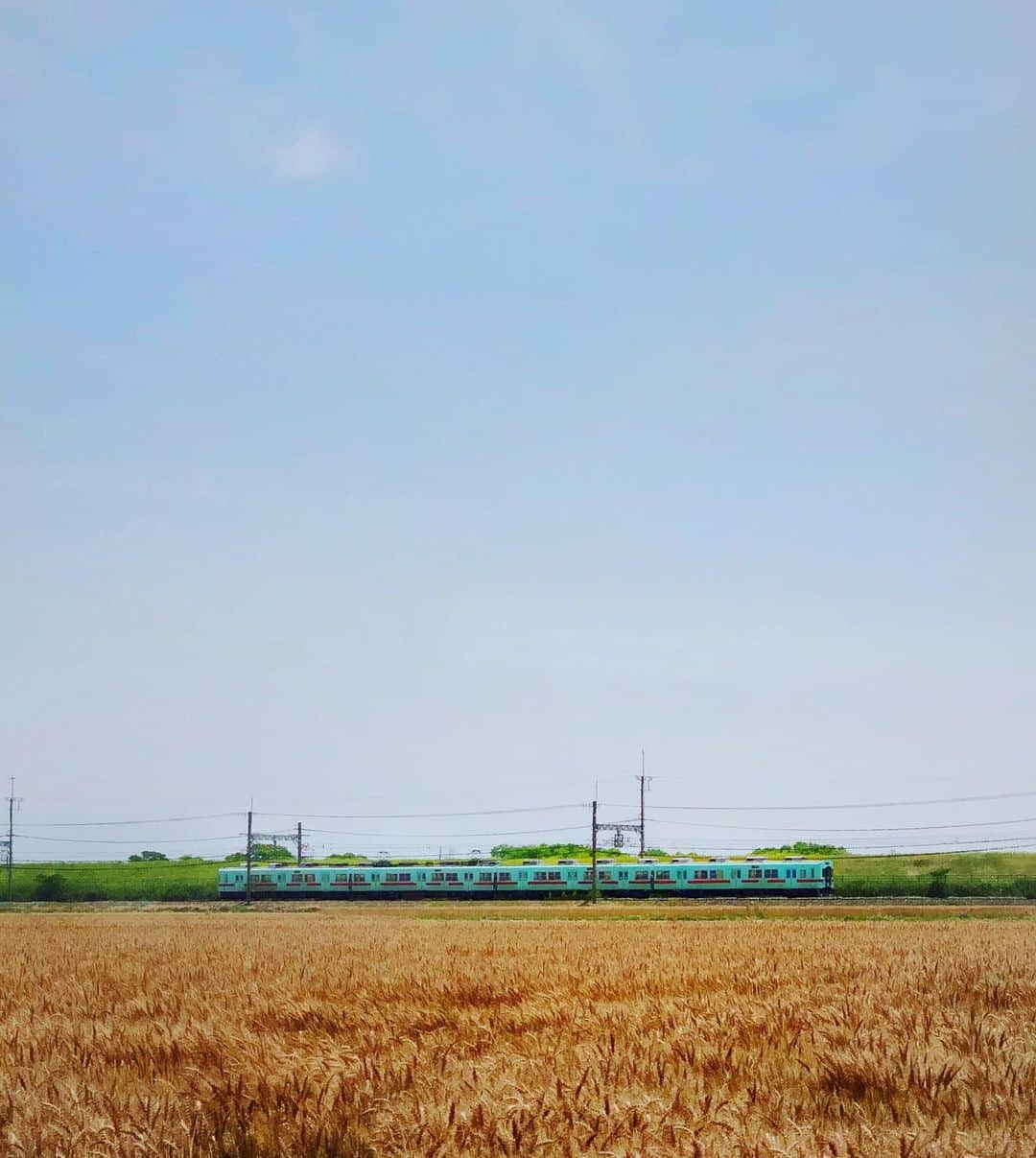 sunday_722のインスタグラム：「*﻿ *﻿ 麦畑🌾と電車🚞﻿ 麦の秋﻿ 収穫の時﻿ 小さすぎて見えない﻿ *﻿ #土曜日の小旅行﻿ #麦畑﻿ #麦の秋﻿ #西鉄大牟田線﻿ #tiny﻿ #小さすぎて見えない﻿ #mwjp﻿﻿﻿ #ShotOniPhone﻿ #ShotOniPhoneX﻿ #ShotOn_TG﻿ #tg_zdwide_pro﻿ #indies_minimal﻿ #rsa_minimal﻿ #fukuokapics」