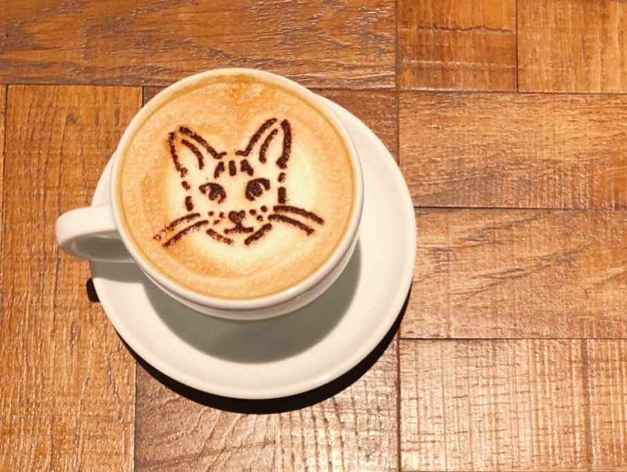 marikill66さんのインスタグラム写真 - (marikill66Instagram)「✼ 🐱☕️ * #BUCKTICK #BUCKTICKカフェ #BUCKTICKコラボカフェ  #bucktickcafe #バクチクカフェ #くるみラテ #ラテアート #タワレコカフェnu茶屋町 #cat * #marikill66_0525 #marikill66bt」5月25日 23時28分 - marikill66