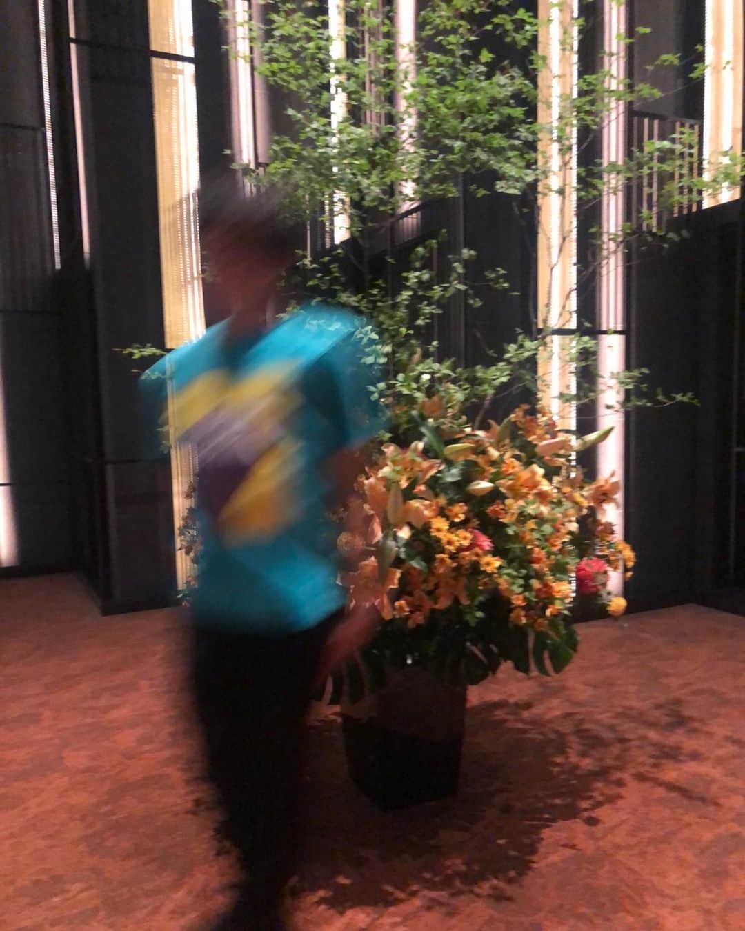 すしらーめん《りく》さんのインスタグラム写真 - (すしらーめん《りく》Instagram)「主役がイッキに「花」から『邪魔な兄』に変わる瞬間。  #flower」5月25日 23時35分 - sushi_riku